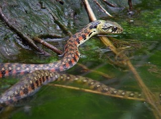 20120605214214_1.jpg