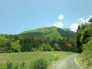 7e1c3a83.jpg