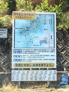 FB_IMG_1495975336630.jpg