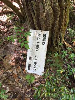 FB_IMG_1495975356811.jpg