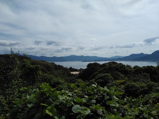 IMG_20181012_104524.jpg