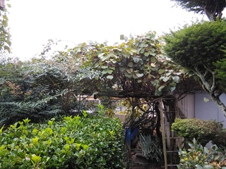 IMG_20181014_082029.jpg