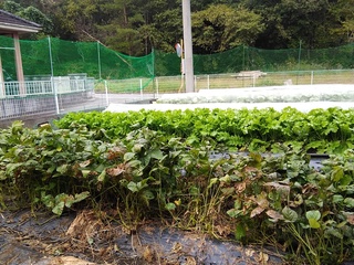 IMG_20181014_082121.jpg