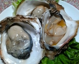 P_20160726_230135_1.jpg