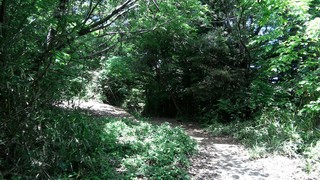 P_20170520_114051.jpg