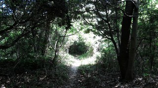 P_20170520_114540.jpg