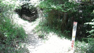 P_20170520_114610.jpg