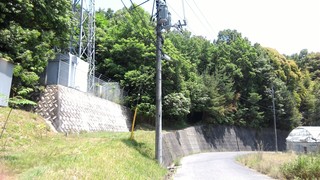 P_20170520_115531.jpg