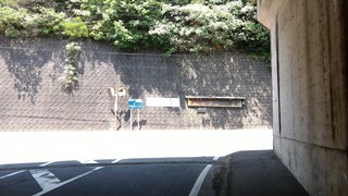 P_20170520_120426.jpg