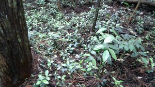 P_20170608_115412.jpg