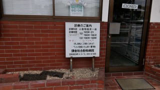 P_20170608_123620.jpg