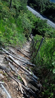 P_20170614_100334.jpg