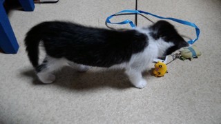 P_20170706_191504.jpg