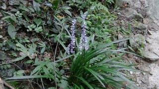 P_20170903_151014.jpg