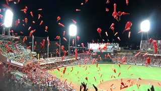 P_20170907_205901.jpg